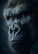 2026-03-17/ddeaffbd-f63e-4983-ae38-3094d754b506