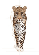 2026-03-17/e021c0d8-e4cc-4a3c-8f76-0bb1917fa0b4