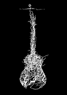 2026-03-17/ecaafab0-4995-47fd-b4db-2362133c449c