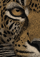 2026-03-17/f4940e35-076f-4bf9-a70b-158eec395c88