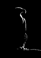 2026-03-18/3e8925f1-7da6-4d34-be28-d72659213d29