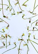 2026-03-18/dd763b84-c336-4b89-872e-c37efd31de69