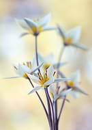 2026-03-19/66e6a458-1deb-4bc2-8a1e-90fd08132a07