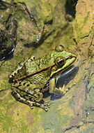 2026-03-19/6a97f5c6-54dd-42ec-92db-00630f0f9b69