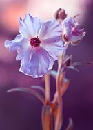 2026-03-19/6e71bd1a-0c75-4671-abe6-704cfc8eb292