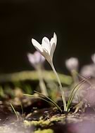 2026-03-20/444557d2-b3d2-480d-8558-86bbe6fa3eaa