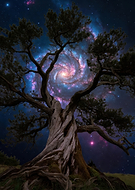 2026-03-20/585057f9-cf71-4ba9-a286-127d4b932de9