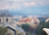 2013-05-18/3b871ae06e7bfa0fc22445152fe548ed