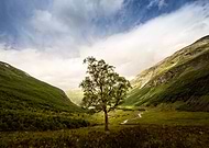 2013-05-21/0e89abf509ea47858f43b98770a899f8