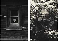 2013-05-27/0c7dcc0f356131a6ace385e46c6739ed