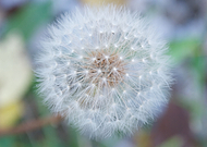 2013-07-02/52b93cfb7df00f61493abbc888ed1c3e