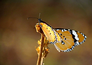 2013-07-03/2ca158948412e33762a91a4c5e6f350a