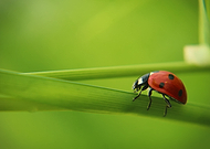 2013-07-19/99db4963499b586fb2e7b02aa0384e16