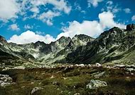 2013-07-23/3ede0019222ea8ad68d4272306bfa3d5