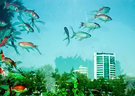 2013-08-12/e60a7462b5176ac3908aa997f99171cf