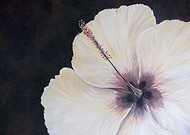 2013-08-27/92de731459c189b3231d7998ba8fe32c