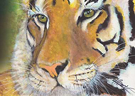 2013-11-04/652757bbd93bbad0204794be027d238c