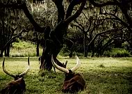 2013-11-30/cd8fde0911483324b5eff96a25a27e04