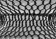 2014-01-17/8cf903e55489c5cca1c6edbf2766ab8e