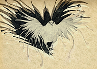 2014-01-17/f4d9f75e1b355131e38ff41ccd84a577