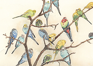 2014-03-04/7214029331efec8348d218a9adb9118b