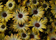 2014-04-09/aba0f9a4cef7404118bbcdd89254fa4d