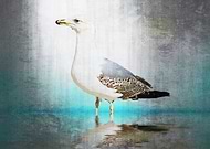 2014-04-13/3be5457395acb660c4012a02a7b10490