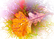 2014-04-14/fb8d3dadede2e7602ee0bcc30b44d504