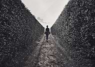 2014-05-05/99e8e263db74c64200f4923b91403c52