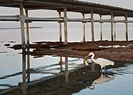 2014-07-27/e597d1fa33702801229a182885312af9