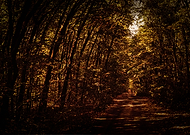 2014-10-26/4cd7b9ddd7be63c2ab390b11cb2fa2f9