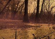 2014-10-26/7a861761abb0da0c9c9350f986a770ec