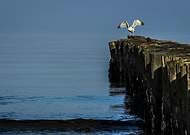 2014-11-12/5685347383f1a71e33e6e597f6d1ad5f