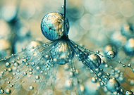 2014-11-17/4a9b77dcaeefc79901d144e6d766f6b7