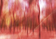 2014-11-23/01952fa6bc9f0e0fa2c6574682eea12c