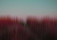 2014-11-23/1f02f6936540134cee2c9bea93ea9ba1