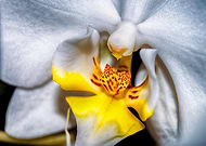 2014-12-01/0393166944910f5128bf9911d4cddb44