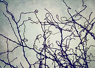 2014-12-01/3fcc7823292f2f25beba5e3a82503070