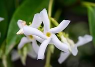 2014-12-01/71ff74809cd0a4009c48b97adac1eb36