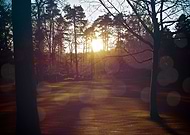 2014-12-03/2d4e707e364c126abb69946acadfc705