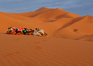 2014-12-16/57afbba91da3132182a9feb3b92f2d62