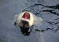 2014-12-29/c7b56c60d0828845d0caa0e1c6a33cf8