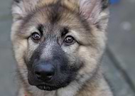 2014-12-30/ce929a5075e6e0951aca3fc14f5c3896