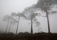 2015-01-06/b021674fe685d41f696b7f2954f7db06