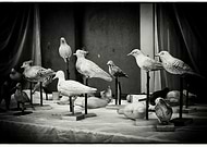 2015-01-19/9c91349154cdae52e071b586ca2bde72