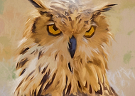 2015-02-05/a48e899ce7125c17afb9d20d840c91b8