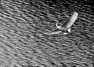 2015-02-06/ee73f54ecc1cb8fe9546568760169d43