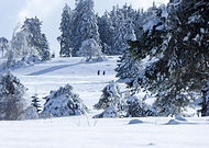 2015-02-17/bf726260add55bacf0584c946b5d2ad7