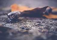 2015-02-27/7664605753bdae9039a62654fbe3036d