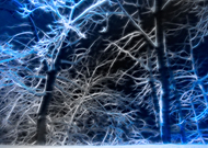 2015-02-28/b1370334ece9f15405984c4742ee27af